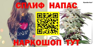 Альфа ПВП Краснокаменск
