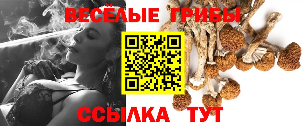 Галлюциногенные грибы GOLDEN TEACHER Дедовск